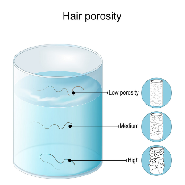 how to grow low porosity 4c hair