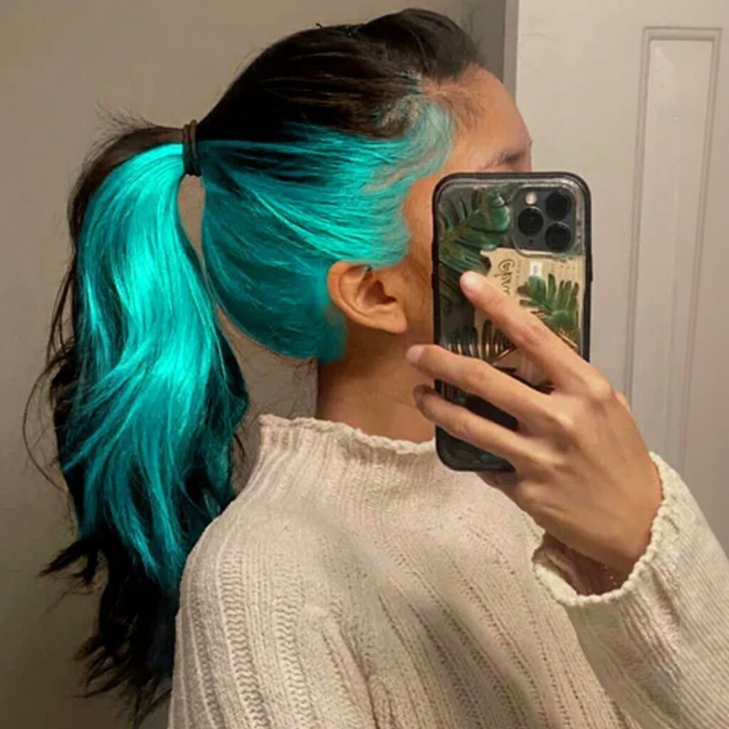 undercolor hair ideas, peekaboo highlights, dyed hair ideas, peekaboo hair color ideas, under color hair, underdye hair