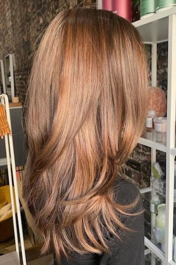 Warm Caramel Brown With Soft Layers hair color on a woman with brown hair, back view.